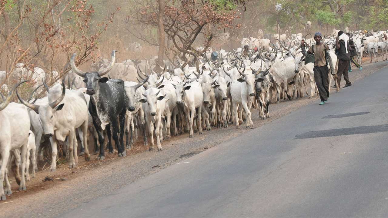 Northern Elders Issue Strong Directive To Fulani Herdsmen In The South, West