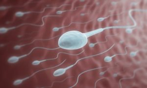 Watching TV Late At Night Can Cause Low Sperm Count In Men