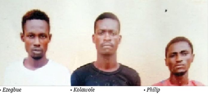 Family Blows Hot As Two Undergraduates, One Other, Rape Teenage Girl