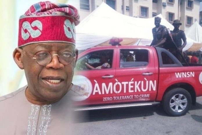 Amotekun Will Not Stand - Presidency Tells Tinubu