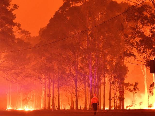 Why Nigerian Cold Is Deadlier Than Australian Fires