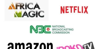 Netflix, Amazon, Irokotv, Africa Magic May End Investment In Nigeria