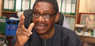 Sagay: Only Salami Is Not Representing An Agency With Issues To Grind In Magu Probe Panel