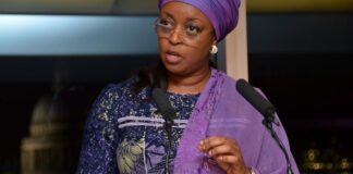 Nigerians Blast Diezani Over Viral Video On Yahoo Boys