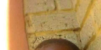 Decomposing body of missing 9-year-old girl found in the wardrobe of neighbour who was part of the search party
