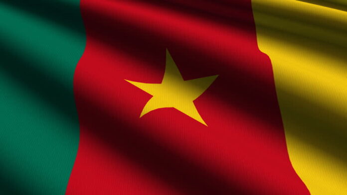 Cameroon Set To Hold First Regional Elections In December