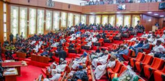 Nigeria Senate Confirms Eight New Supreme Court Justices