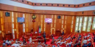 #EndSARS: Senate Implores FG To Implement Protesters' Demand