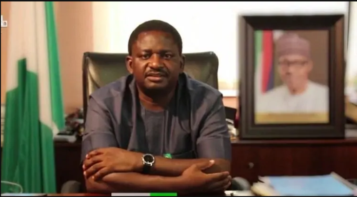 Nobody can determine what happens to me after 2023 - Femi Adesina