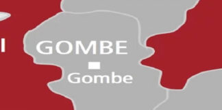 #EndSARS: Gombe Panel Yet To Receive Any Petition