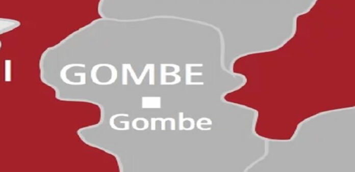 #EndSARS: Gombe Panel Yet To Receive Any Petition