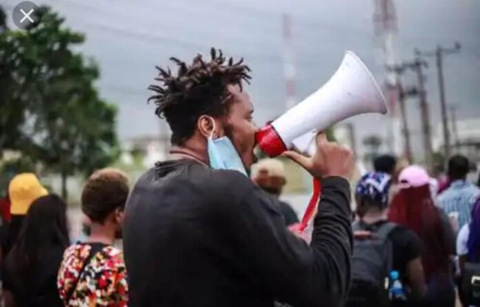 #EndSARS Protest: Court Grants Eromosele Adene Bail