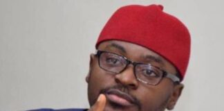 Fredrick Nwabufo: Don’t Fret — Miyetti Allah, Ohanaeze And Afenifere Can Help Tackle Insecurity