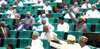 Reps Back Senate, Ask Buhari To Designate Bandits As Terrorists