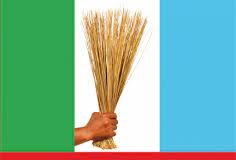 Violence, Protests Rock APC Congresses, Factions Battle In States